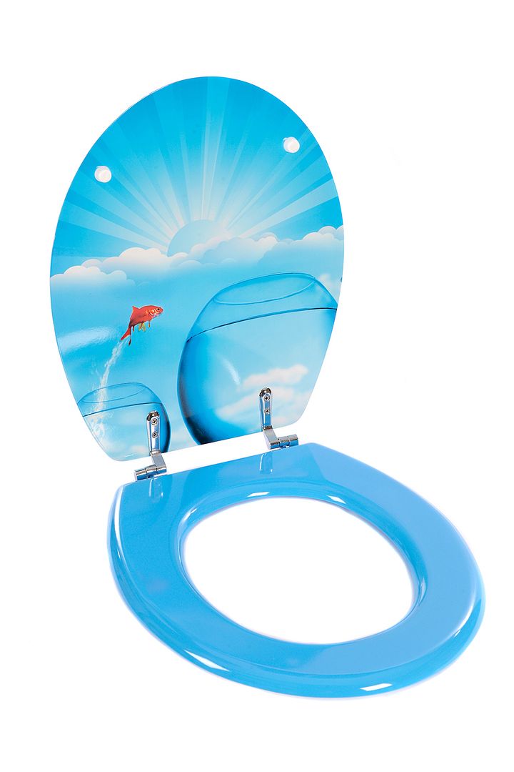 Novelty Toilet Seat Resin Material with Corrosion Free Chrome Hinges